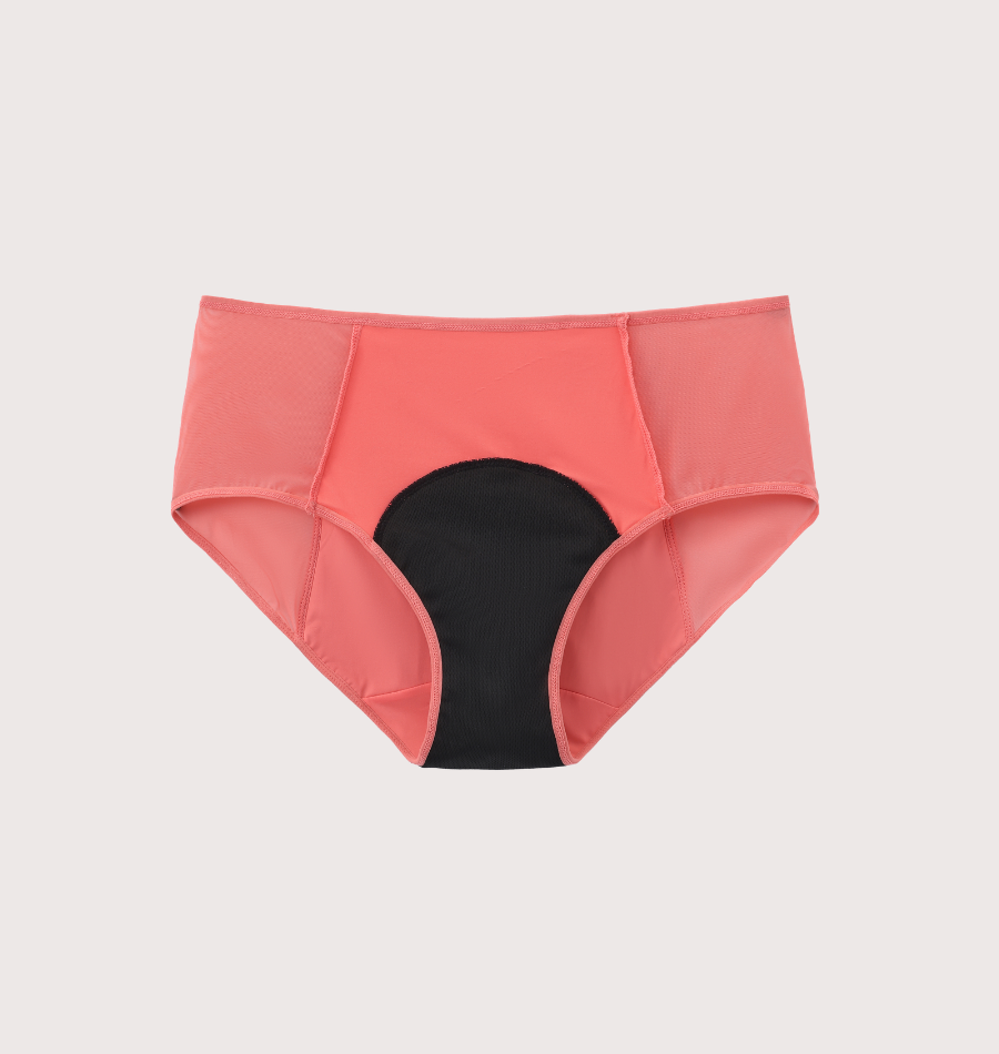 Lace Brief - Sale